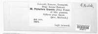 Phyllachora graminis image